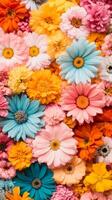 A vibrant display of colorful flowers in a variety of shapes and sizes filling the frame in a cheerful arrangement photo