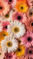 A vibrant arrangement of colorful gerbera daisies in various shades showcasing nature's beauty and diversity in texture and color photo