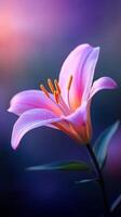 Beautiful pink lily blooms softly in the morning light against a gentle blurred background photo