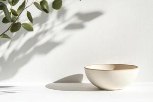 Minimalist white bowl with a gold rim placed against a softly lit wall creating gentle shadows, accompanied by leafy greenery photo