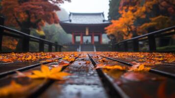 Vibrant autumn leaves blanket the wooden walkway leading to a traditional temple amidst a misty landscape in a serene setting photo