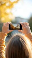 A person captures autumn leaves with a smartphone while enjoying a sunny day in the park during golden hour photo