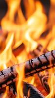 Campfire flames dancing around charred logs during an evening gathering photo