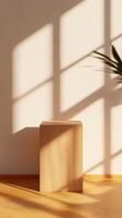 Sunlight casting shadows on a wooden block and plant in a bright room during the morning hours photo