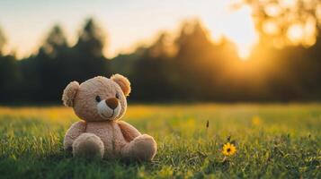 A teddy bear sitting on a grassy field during sunset with flowers around it in a peaceful outdoor setting photo