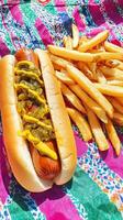 Hot Dog and Fries - Perfect Summer Picnic Food photo