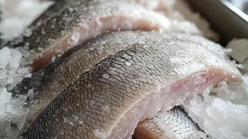 Fresh Frozen Fish Fillet on Ice photo