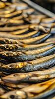 Close-up view of a market display of fresh smoked fish photo