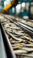 Automated Fish Processing Line - Industrial Food Production photo