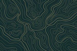 Abstract luxury topographic map background. Gold topographic lines on a dark blue background vector