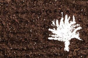 Black Soil Texture Background. Top View photo