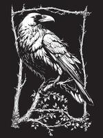 crows on twig grunge black and white silhouette, design for tshirt, poster vector