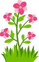 Charming floral illustration featuring pink blossoms, green leaves, and grass, great for nature-inspired decorative projects. vector