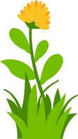 illustration of yellow flower with green leaves and grass, perfect for nature, spring, and floral design projects. Ideal for clipart, decorative art, and botanical themes. vector