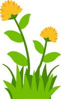 blooming yellow flowers with green leaves and grass, perfect for nature, spring, and floral design projects. Ideal for clipart, decorative art, and botanical themes. vector
