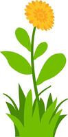 illustration of yellow flowers with green leaves and grass, perfect for nature, spring, and floral design projects. Ideal for clipart, decorative art, and botanical themes. vector