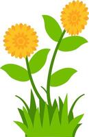 illustration of blooming yellow flowers with green leaves and grass, perfect for nature, spring, and floral design projects. Ideal for clipart, decorative art, and botanical themes. vector
