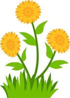 illustration of three blooming yellow flowers with green leaves and grass, perfect for nature, spring, and floral design projects. Ideal for clipart, decorative art, and botanical themes. vector