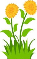 floral illustration featuring yellow blossoms, green leaves, and grass, great for nature-inspired decorative projects. vector
