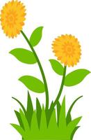 illustration featuring two yellow blossoms, green leaves, and grass, great for nature-inspired decorative projects. vector