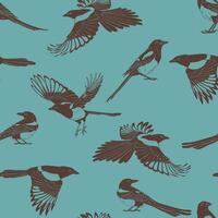 Seamless pattern with bird, magpie. Hand drawn illustration. vector