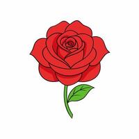 Red rose isolated on white background. Front view vector