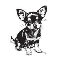 A chihuahua illustration in black and white sketch style. Canine handbag dog, cute illustration, drawn by hand in a sketch style. vector