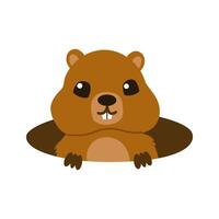 Groundhog. Spring is on the way Marmot . illustration, banner design with funny character isolated on white background. Flat design. vector