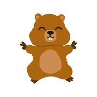 Marmot . illustration, banner design with funny character isolated on white background. Flat design. vector