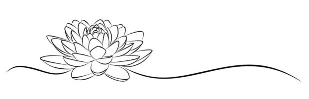 A sketch of the blossoming stylized lotus. vector