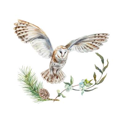 Barn owl with green twig, spruce branch and cone, watercolor. Hand drawn illustration of forest bird. For cards, invitations, covers, labels, wildlife protection day.