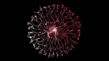 abstrakt fraktal Kugel im rot und grau Töne auf schwarz Hintergrund video