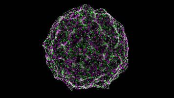 Abstract Particle Sphere with Green and Purple Glow on Dark Background video