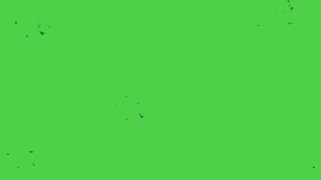 ight Leaks on green screen. Chroma key. Flashing light on the green screen. Mp4 Color Filters. Transition.. video