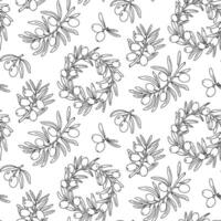 Olive twig pattern, outline. Twigs, a wreath of fruits. Seamless illustration on a white background. An environmentally friendly product with olive oil content. the symbol of a natural product vector