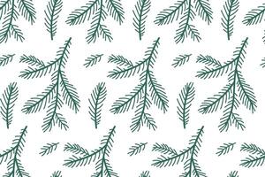 Pattern of evergreen branches on a white background, perfect for holiday-themed design projects vector