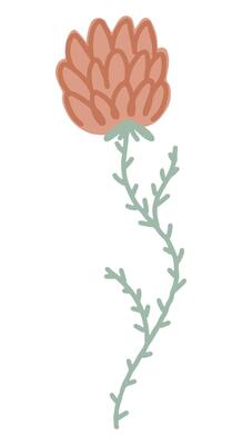 Clipart of flower in naive style. Hand drawn abstract botanical illustration isolated on white.