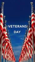 Celebration of Veterans Day with American flags displayed under a clear blue sky photo