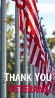 Many flags wave in the breeze while a heartfelt message of gratitude for veterans is prominently displayed during an outdoor ceremony photo