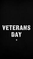 Veterans Day celebration honoring those who served in the military with a solemn and respectful atmosphere photo
