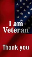 Veterans Day tribute featuring a patriotic flag and heartfelt appreciation message during a national celebration photo