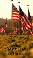 Field of flags honoring veterans during sunset with heartfelt gratitude message photo