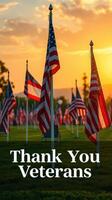 Flags wave in the sunset as a tribute to veterans during a ceremony honoring their service and sacrifice photo