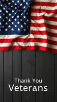 Celebrating the sacrifices of veterans with a display of the American flag photo