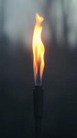 Flame flickers in the dark at twilight gathering, illuminating the surrounding haze of the evening landscape photo