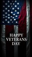 Veterans Day celebration highlighting the American flag with a heartfelt message in a dimly lit setting photo