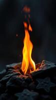 Flame dancing above rocks in a dark environment capturing the essence of warmth and light photo