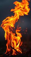 Dynamic flames dance in a captivating display of heat and light during a nighttime bonfire photo