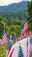 Memorial display of American flags honoring veterans at a cemetery on a clear day surrounded by lush greenery photo