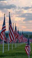 American flags line a field at sunset, creating a patriotic display of colors and symbols of freedom photo